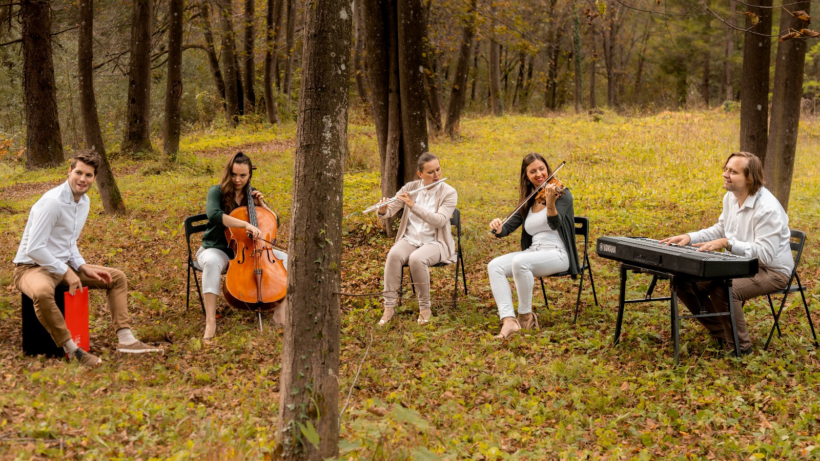 Artistik band - 5-članski akustični band za poroke